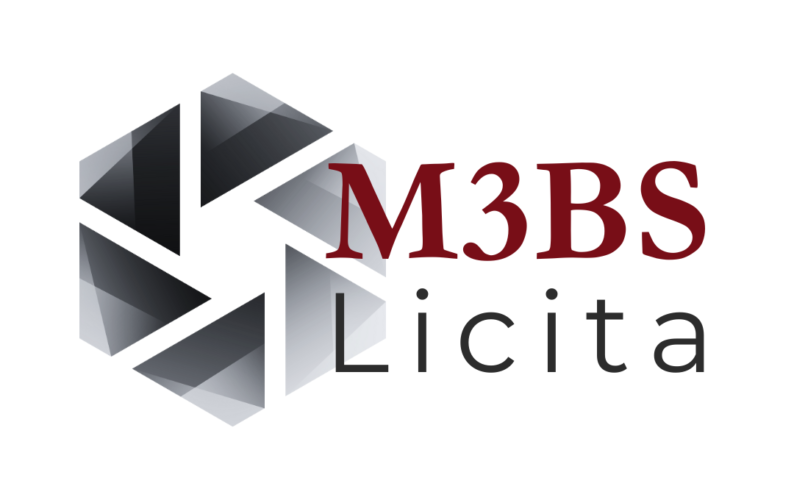 Tudo sobre o mercado de Licitações